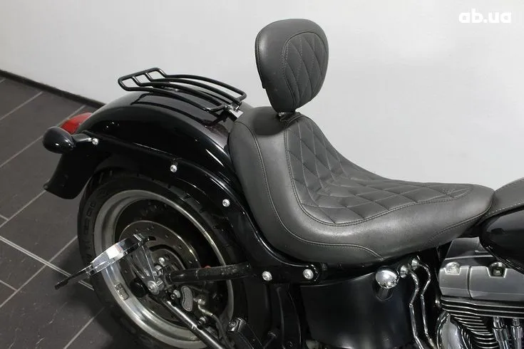 Harley-Davidson FLSTF Image 3